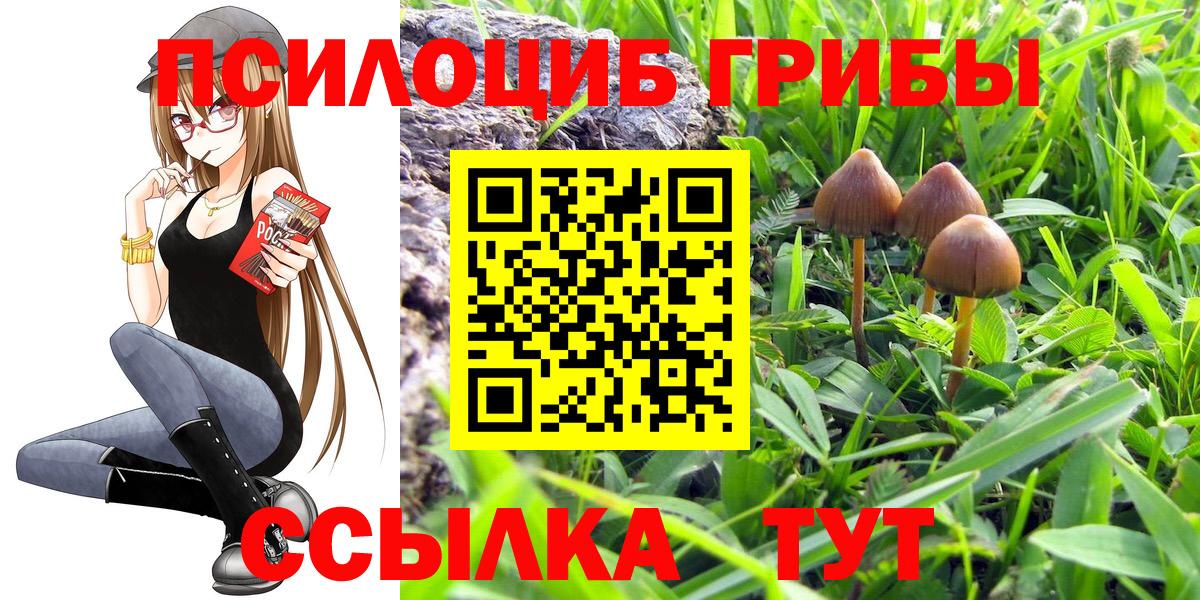 Псилоцибиновые грибы Cubensis  Вход с VPN  Россошь  Галлюциногенные грибы GOLDEN TEACHER 