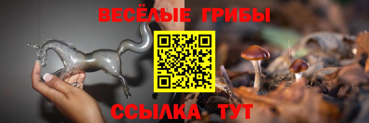 Псилоцибиновые грибы прущие грибы Россошь